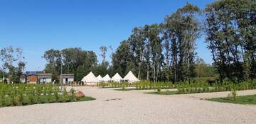 Фотографии Кемпинги Mereoja Camping г. Kõrkküla (Эстония) №2 Фото Кемпинги Mereoja Camping г. Kõrkküla 2
